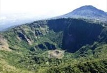 Boquerón Half Day Tour